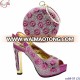 Chowleedee Hot Sale African Baby pink women shoes and bag 2019 Top fashion low heel crystal shoes and bag